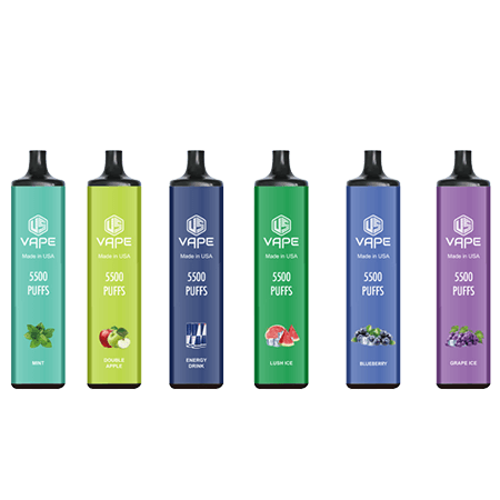US VAPE (5500 Puffs) Disposable