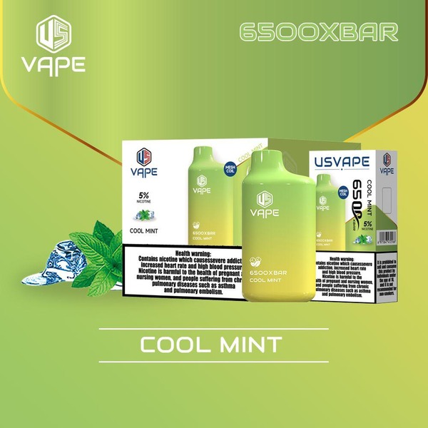 Cool Mint US VAPE 6500 XBAR Disposable