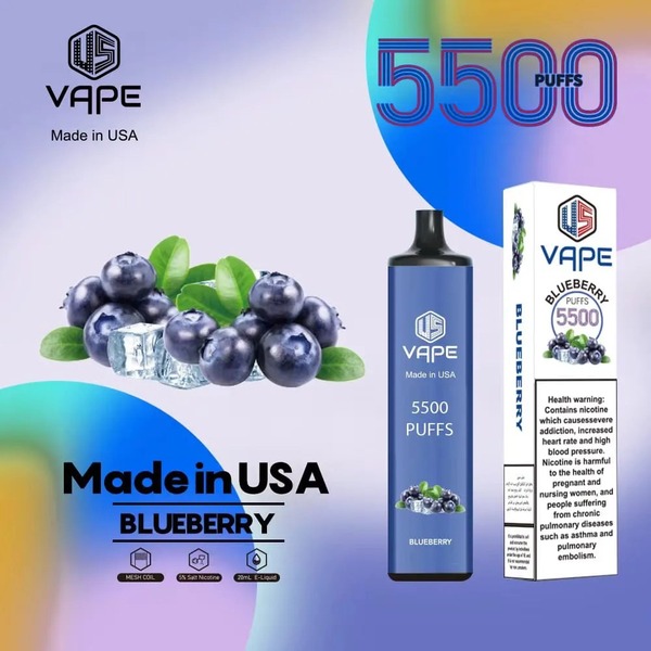 Blueberry US VAPE Disposable